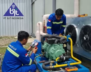 BJT melayani Jasa service dan pembuatan blast freezer